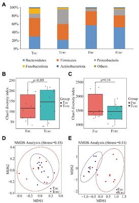 Microbiome and metabolic features of tissues and feces reveal diagnostic biomarkers for colorectal cancer